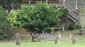 Kookaburra Park Eco-Village